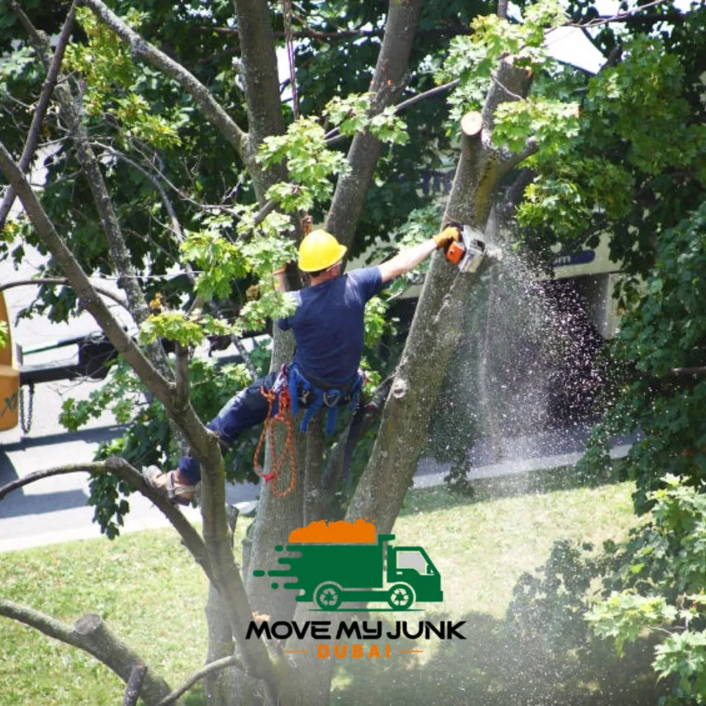 tree removal