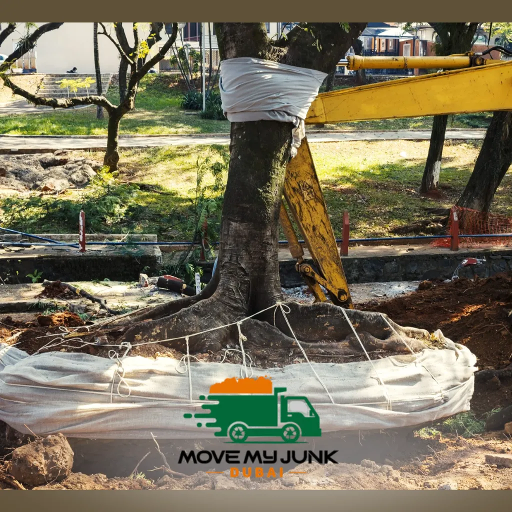 tree removal dubai
