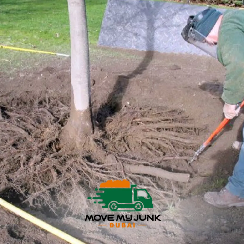 affordable tree removal