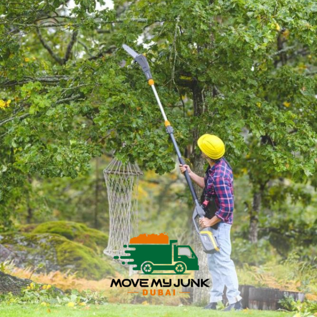 tree removal service